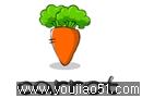 Carrot Cucumber